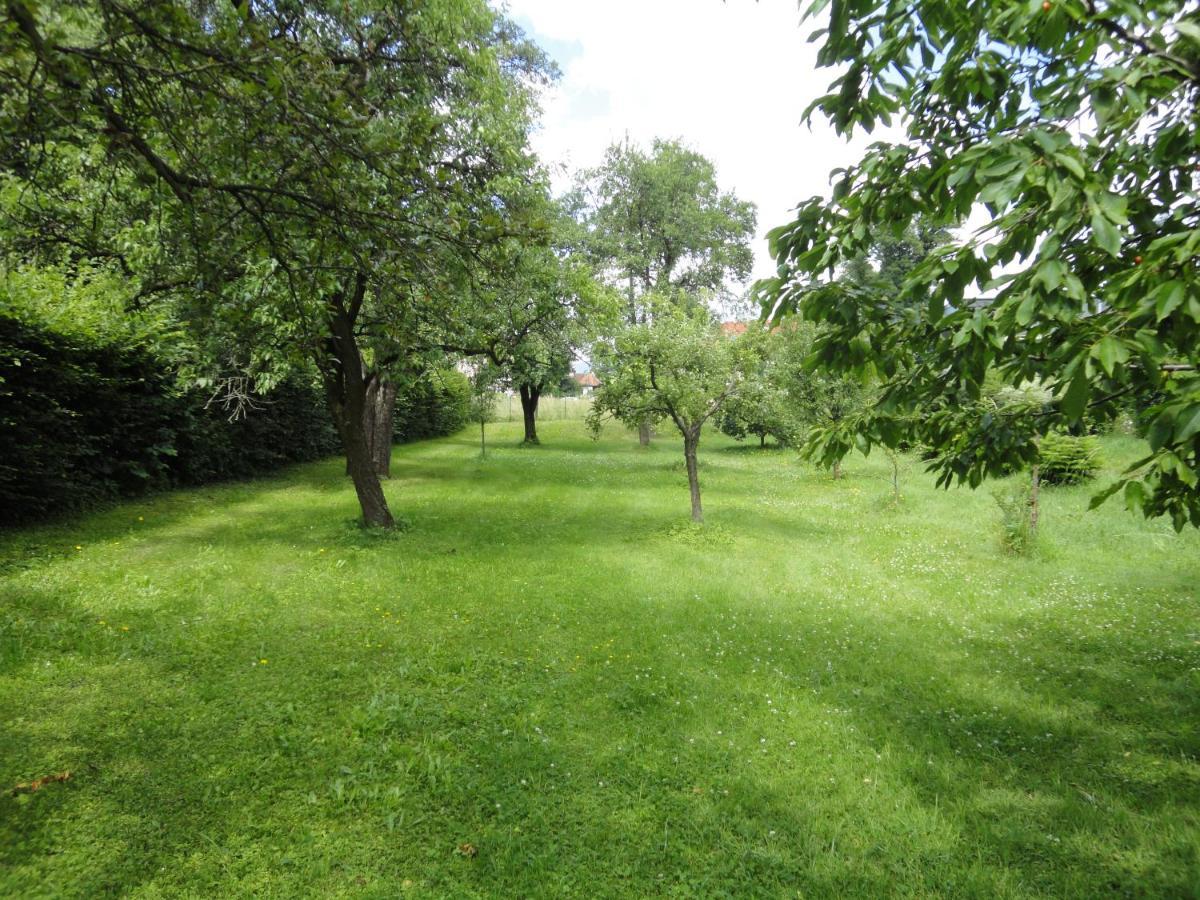 Zeilinger Villa Knittelfeld Esterno foto