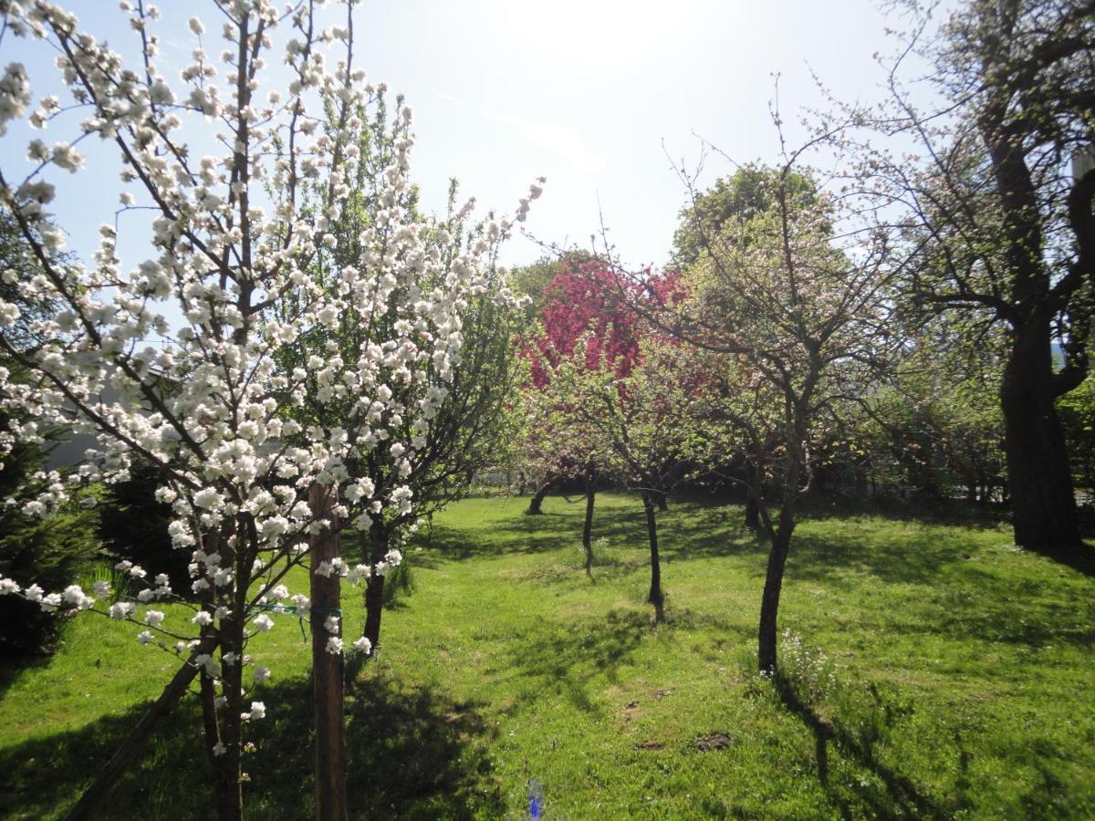 Zeilinger Villa Knittelfeld Esterno foto